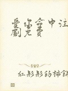 爱你命中注定泰剧免费