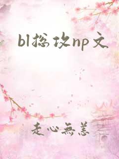 bl总攻np文