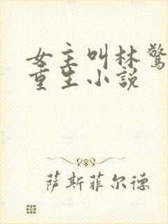 女主叫林惊澜的重生小说