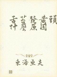 舌苔发黄头晕是什么原因