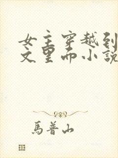 女主穿越到末世文里面小说