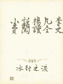 小说杨凡李灿免费阅读全文