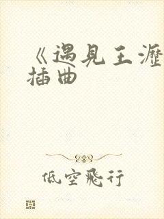 《遇见王沥川》插曲