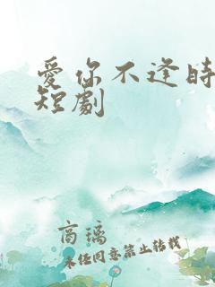 爱你不逢时免费短剧