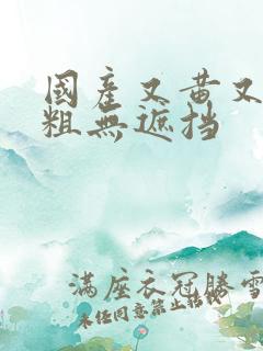 国产又黄又爽又粗无遮挡