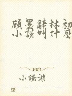 顾墨辞林初替身小说叫什么名字