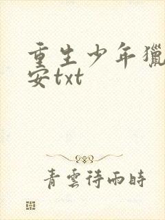 重生少年猎美赵安txt