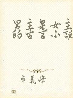 男主是女主小叔的古言小说