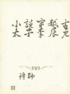 小说穿越古代当太子李辰免费阅读