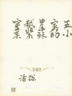 穿越农家五兄弟叶紫苏的小说免费阅读