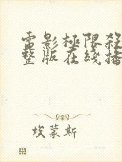 电影极限杀手完整版在线播放超清