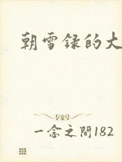 朝雪录的大结局