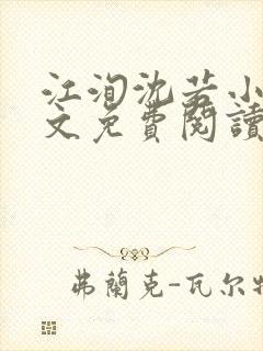 江洵沈若小说全文免费阅读