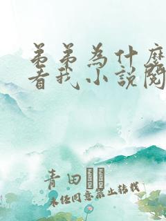 弟弟为什么这样看我小说阅读