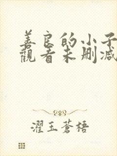 善良的小子免费观看未删减版