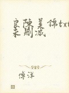 良陈美锦txt未删减