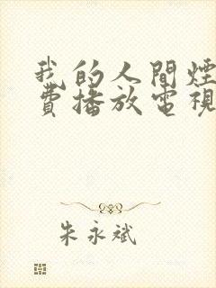 我的人间烟火免费播放电视剧