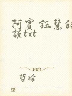阿宾 钰慧的小说txt