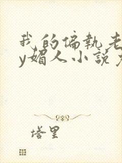 我的偏执老公by媚人小说免费阅读