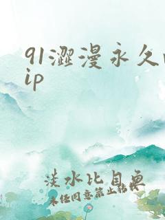 91涩漫永久vip