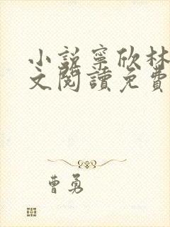 小说宁欣林峰全文阅读免费无弹窗