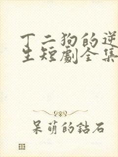 丁二狗的逆袭人生短剧全集免费