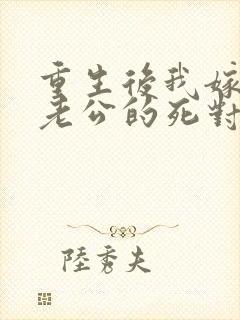 重生后我嫁给了老公的死对头 短剧