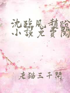 沈临风赵盼帝姬小说免费阅读