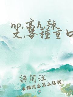 np,高h,辣文,各种重口味play