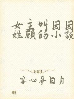 女主叫囡囡男主姓顾的小说