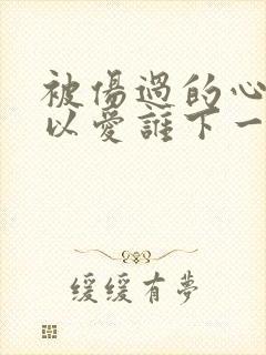 被伤过的心还可以爱谁下一句歌词