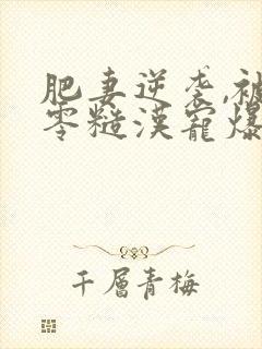 肥妻逆袭,被八零糙汉宠爆了免费阅读