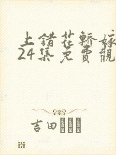 上错花轿嫁王爷24集免费观看