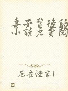 妻子背后的秘密小说免费阅读