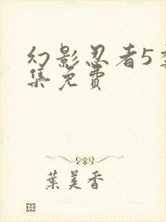 幻影忍者5季全集免费