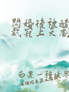 闪婚后被醋王总裁宠上天剧情