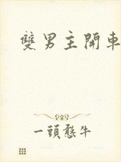 双男主开车片段