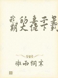 我的妻子是大乘期大佬下载