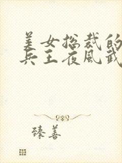 美女总裁的超级兵王夜风武