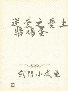 逆袭之爱上情敌 柴鸡蛋