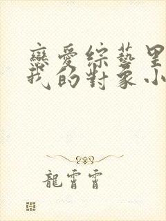 恋爱综艺里全是我的对象小说