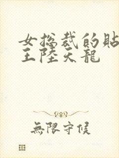 女总裁的贴身兵王陆天龙