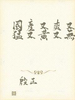 国产又爽又粗又猛又黄又无遮挡