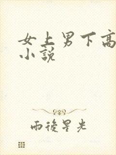 女上男下高干文小说