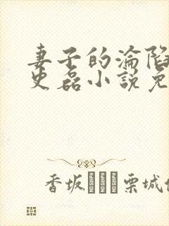 妻子的沦陷王天史磊小说免费阅读