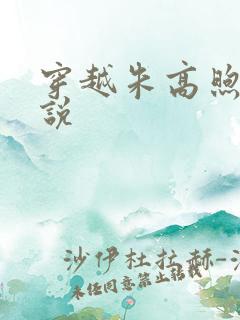 穿越朱高煦的小说