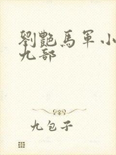 刘艳马军小说第九部