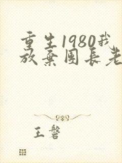 重生1980我放弃团长老婆小说