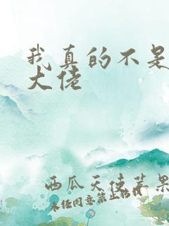 我真的不是女装大佬