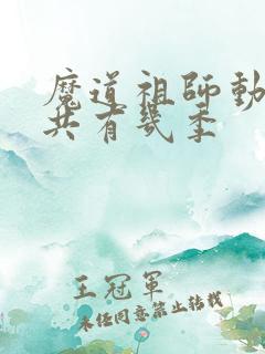 魔道祖师动漫一共有几季